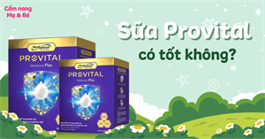 [Review] Sữa Provital có tốt không? Tác dụng của sữa Provital với sức khỏe